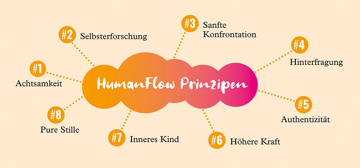 gráfico 8 principios humanflow final