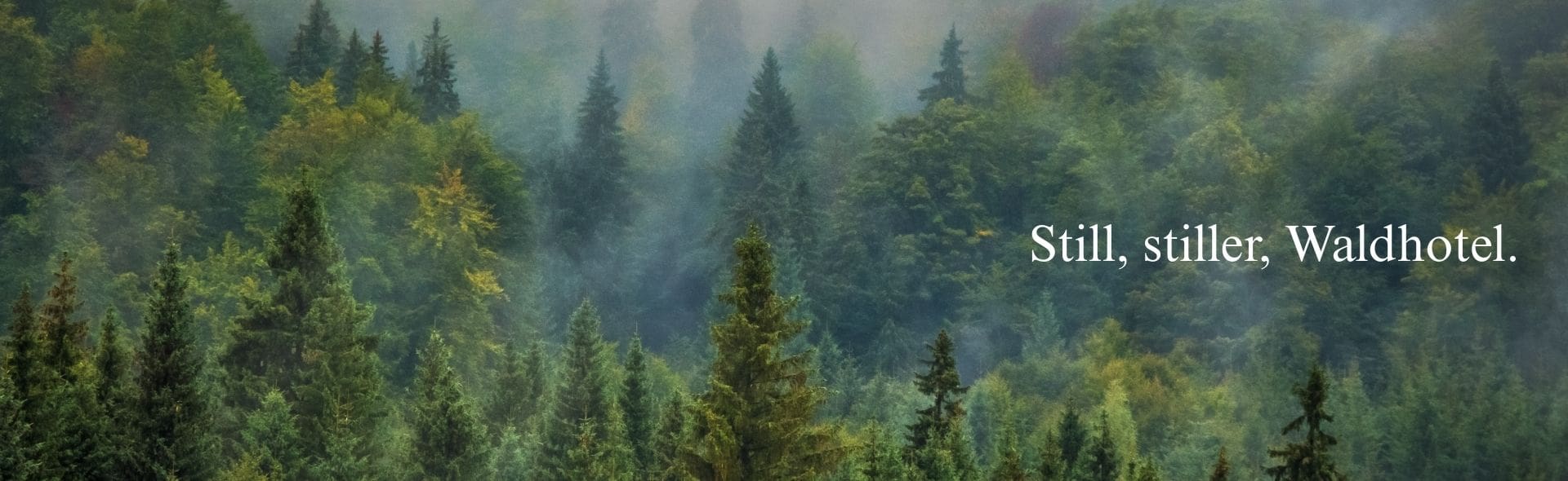 waldhotel text hero