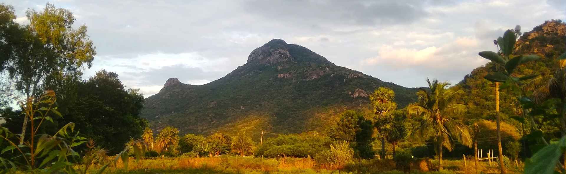 Arunachala Retreat HumanFlow